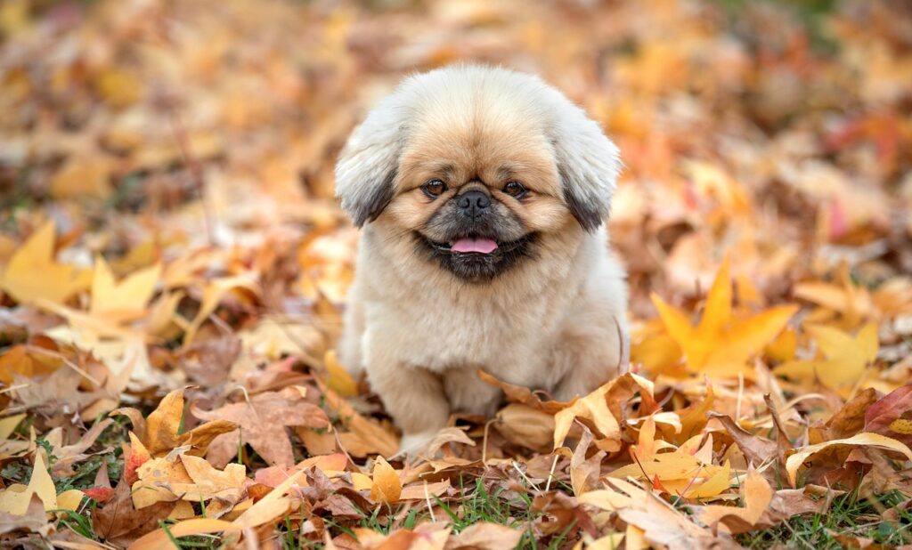 富裕層が語る快眠への投資効果とはどのようなものか？