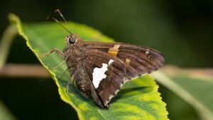 富裕層が語る快眠への投資効果とは何か？