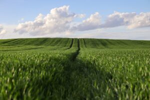 快眠家電セットの高額モデル内訳にはどんなアイテムが含まれているの？