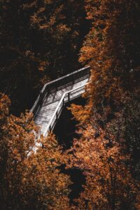 快眠とマインドフルネスを促進するガジェットはどれがおすすめ？