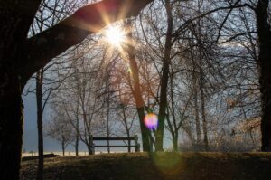 朝スッキリ起きるためのおすすめグッズは？